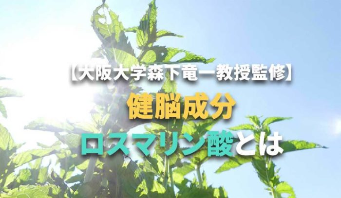 【大阪大学 森下竜一教授監修】健脳成分「ロスマリン酸」の働きとは