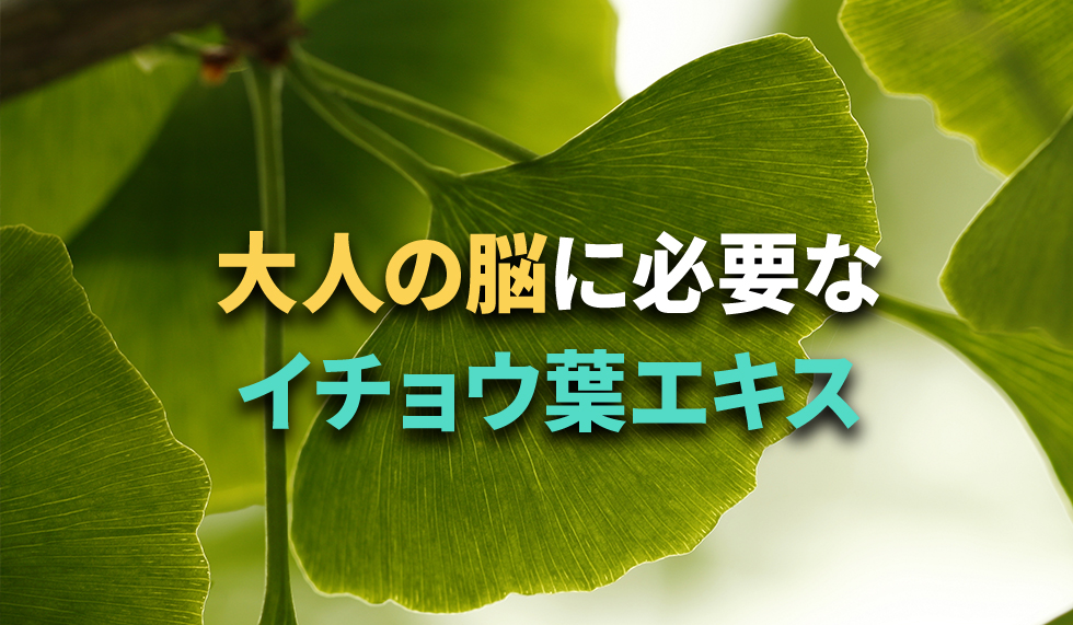 大人の脳に必要なもう一つの成分 イチョウ葉エキス のはなし あたまナビ 大人の脳に必要なもう一つの成分 イチョウ葉エキス のはなし あたまナビ