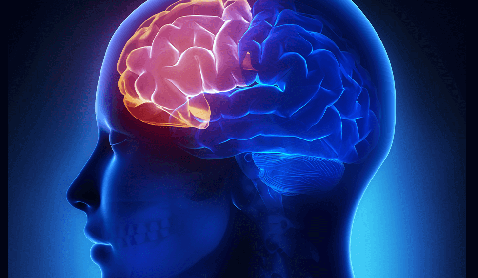 脳の中で一番老化が早い『前頭葉』をトキメキで鍛えて老化予防！