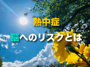 知らないと怖い熱中症が脳に与える影響