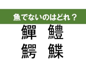 脳トレ３選　生き物漢字クイズ